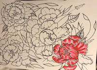 a drawing of peonies with a red flower in the middle